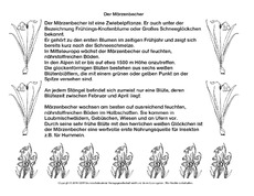 Abschreibtext-Märzenbecher-SW.pdf